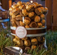 /album/galleria-foto1/a29-2-jpg/